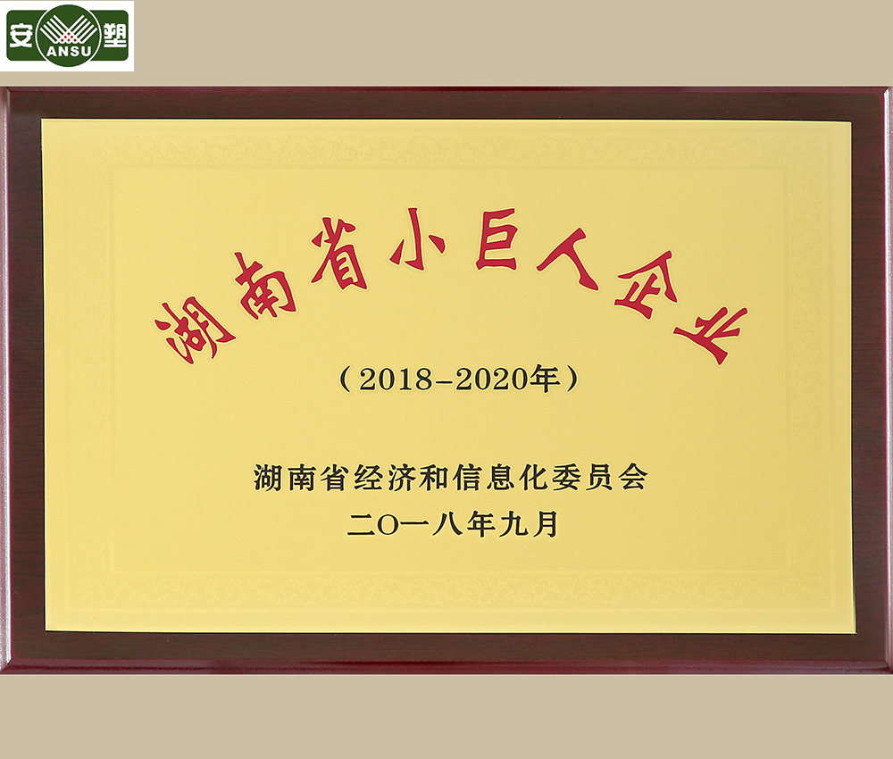 荣誉资质 小巨人